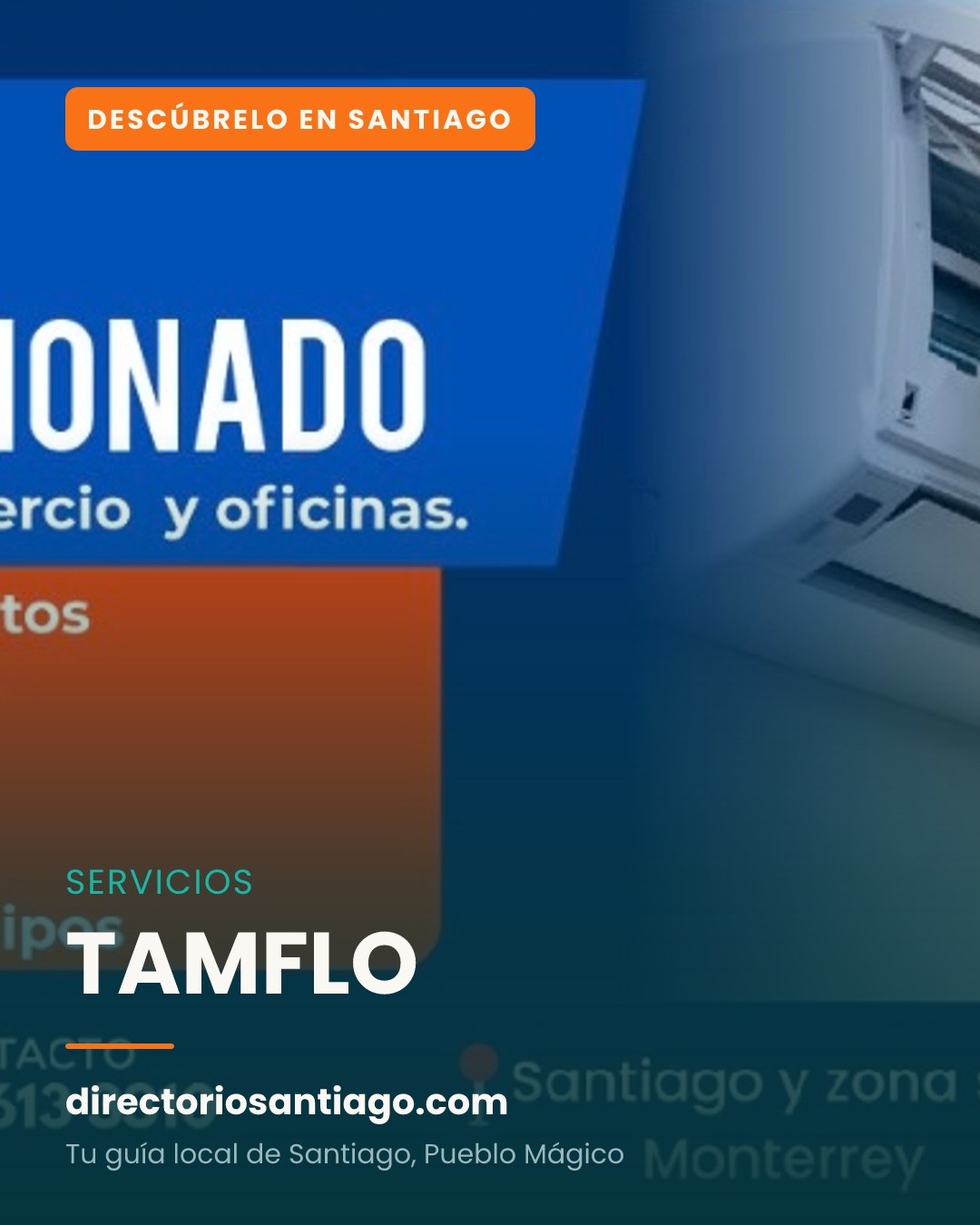 TAMFLO